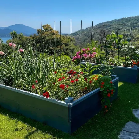 别墅 Alessia - 4 Bed With Maggiore View 斯特雷萨